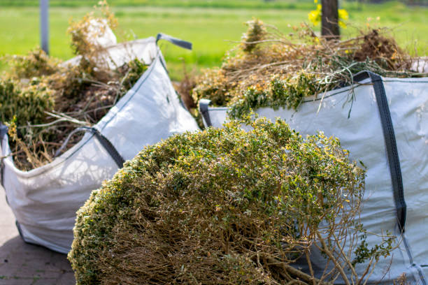 Best Yard Waste Removal  in Buffalo, WY